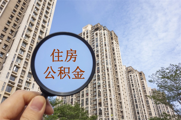 漳浦全国住房公积金缴纳人数（漳浦2020公积金人数）